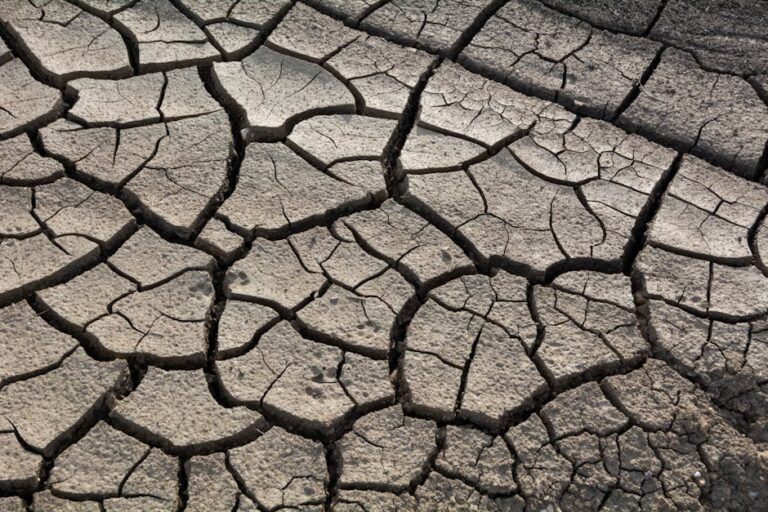 Close-up of cracked dry earth highlighting drought impact and climate change.