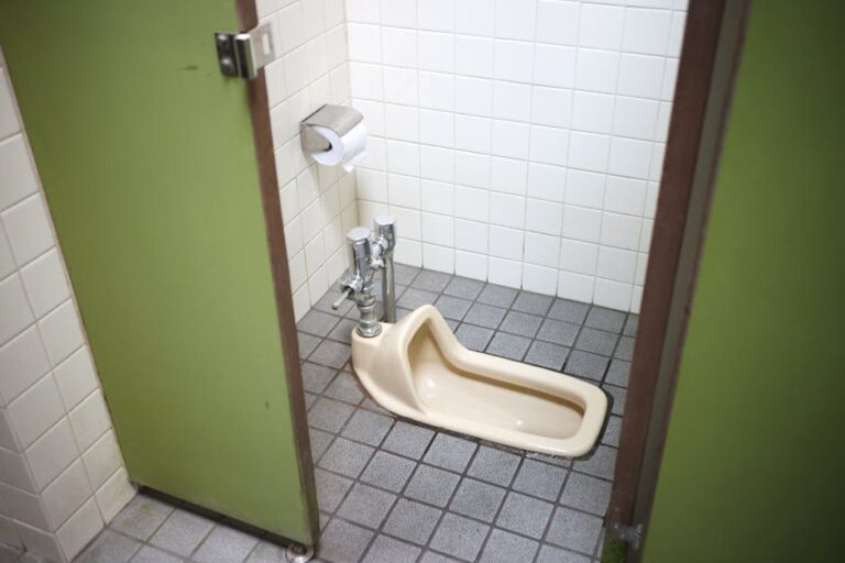Image of a squat toilet in a public restroom with tiled walls and floor.